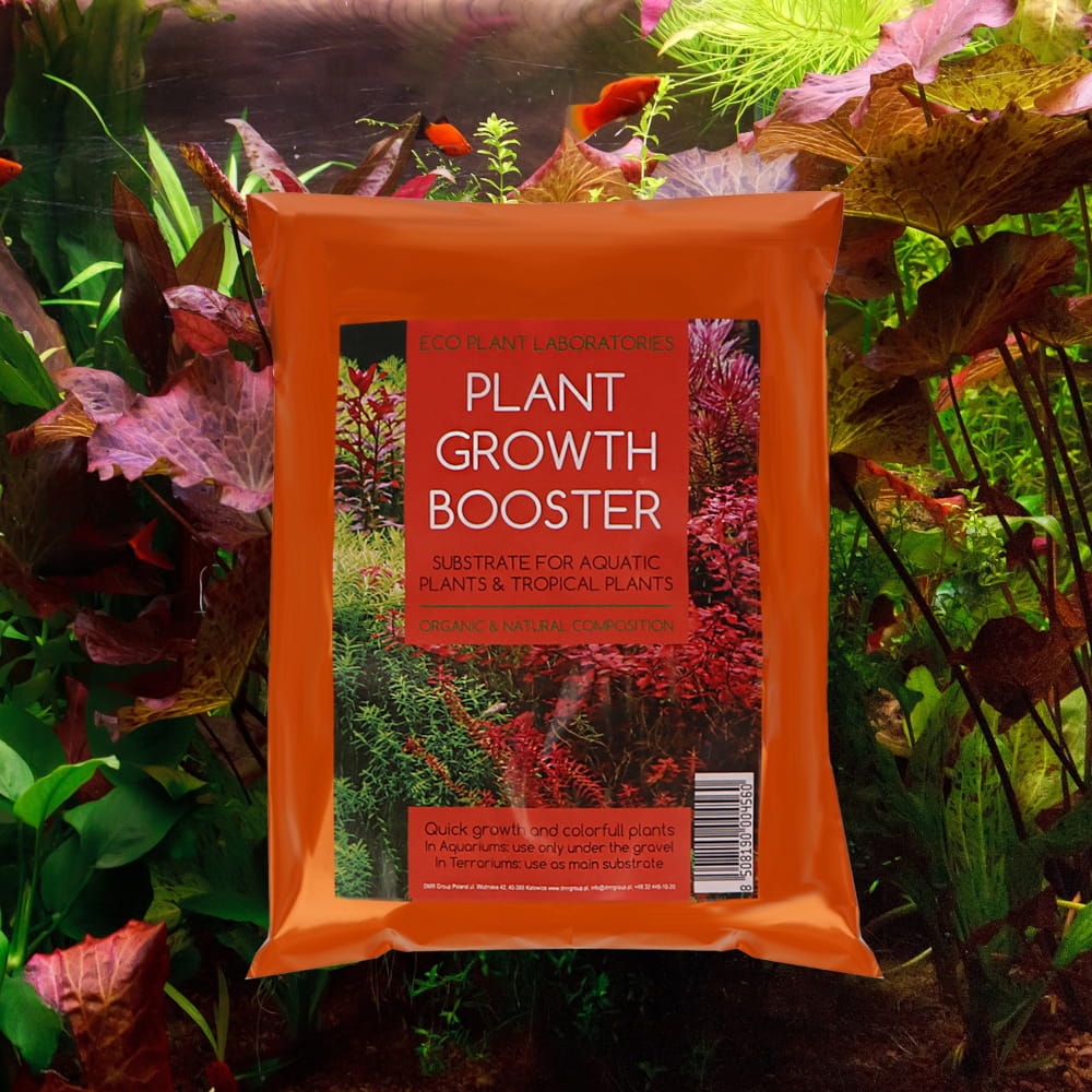 plant booster6.jpg